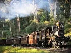 Paint By Number Canvas Painting Kits Landscape DIY Unframe Coloring By Numbers Train Acrylic Paint Kits Unique Gift Peaceful Pleasures Health and Wellness 11 50x70cm Unframed