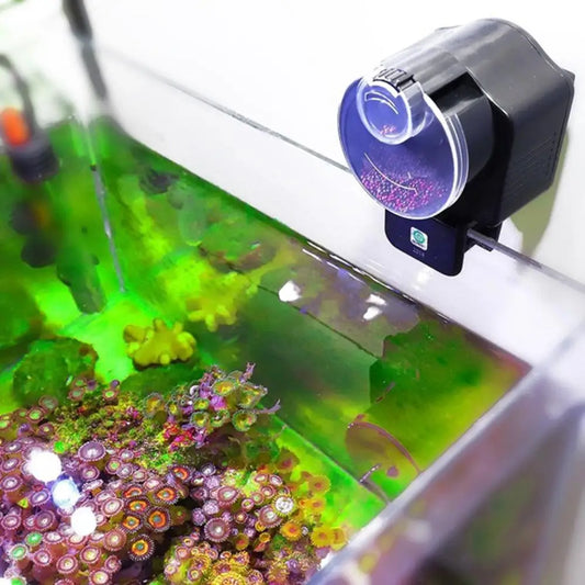 Automatic Fish Feeder | Aquarium Timer Food Dispenser Automatic Fish Feeder Oasis Select