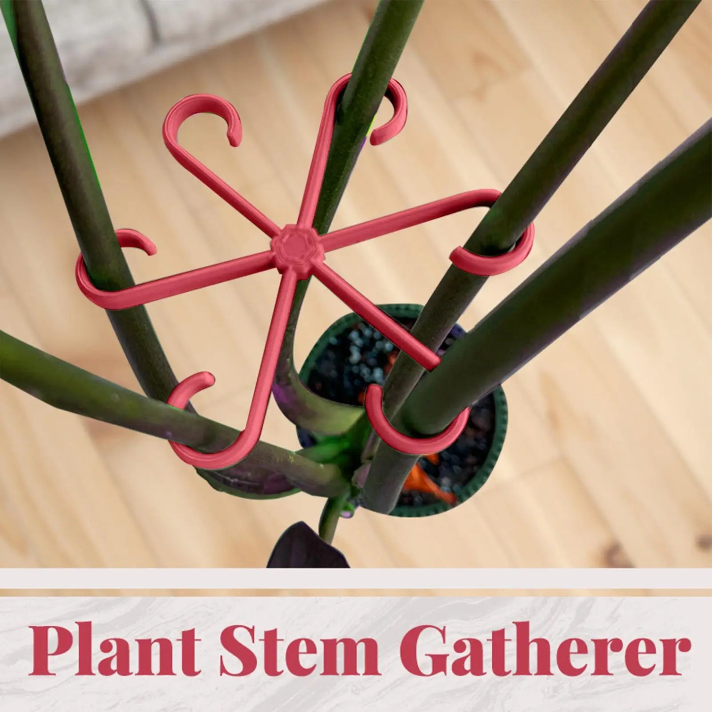 4-Pack Reusable Plant Stem Support Cages | Folding Frames