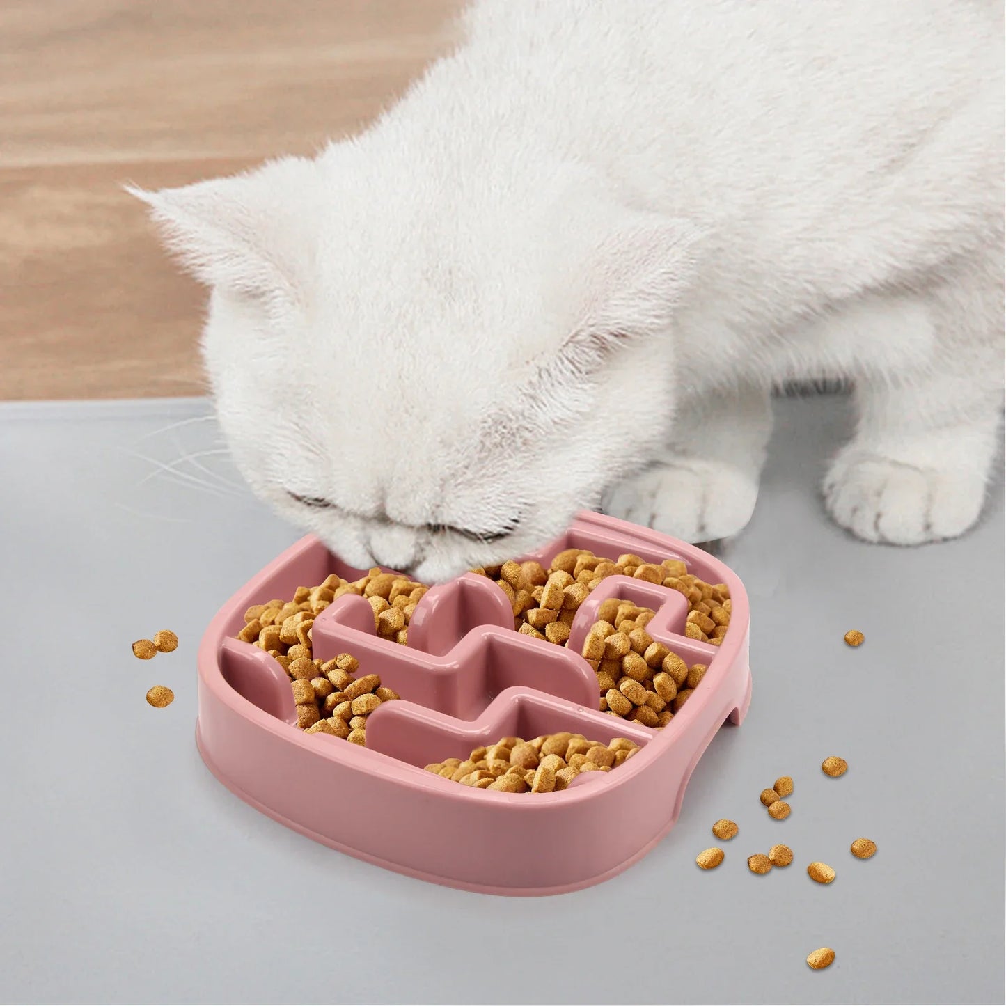 Slow Feeder Bowl for Dogs & Cats | Maze Anti-Choke Dish