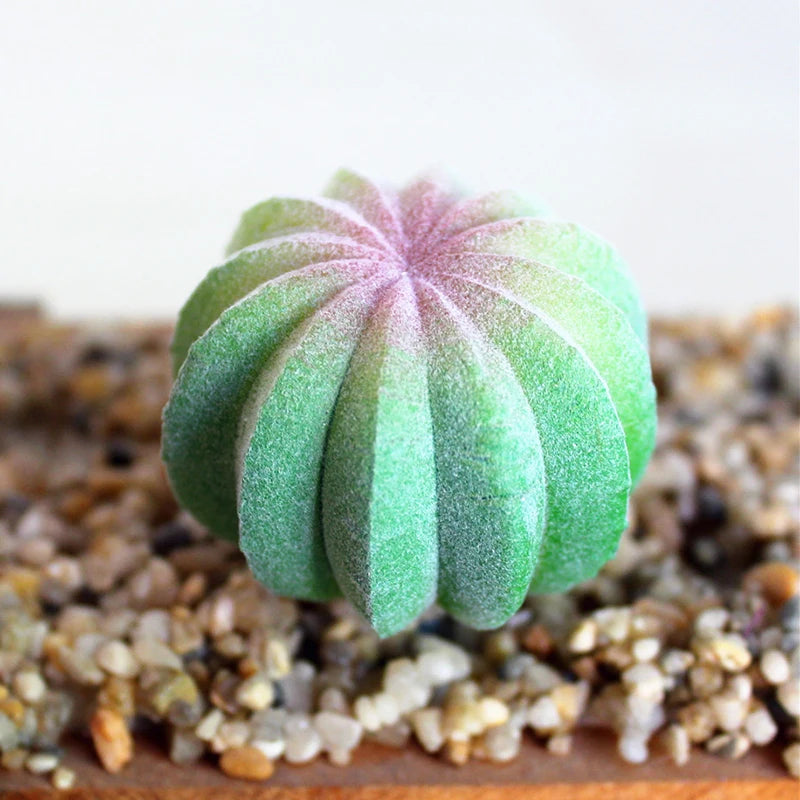 Artifical Plastic Succulent Plant Realistic Textured Cactus Mini Faux