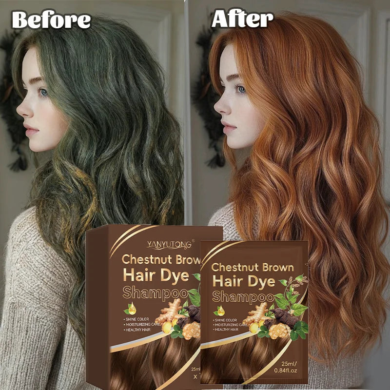 Chestnut Brown 3-in-1 Hair Color Shampoo – Ginger Formula