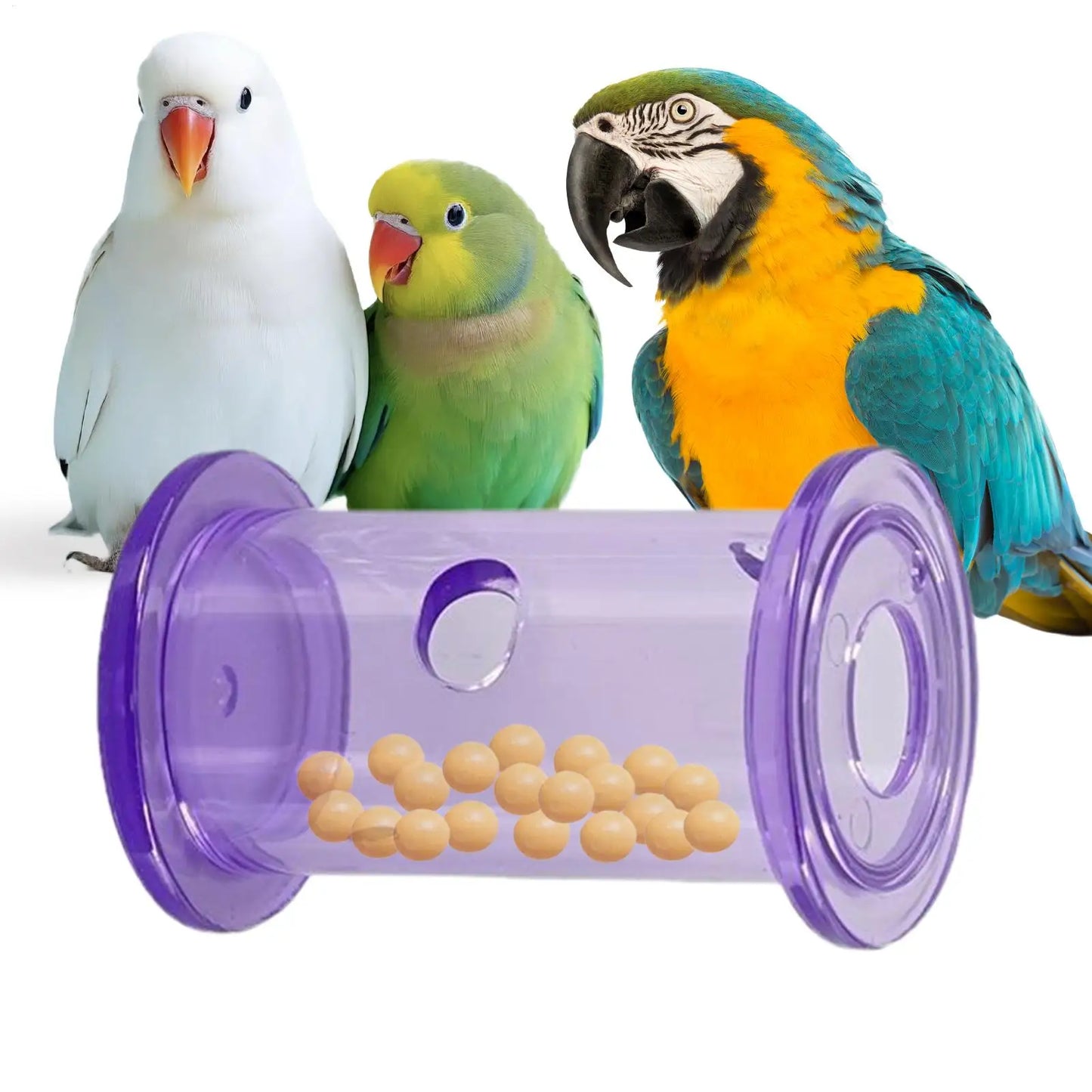 Reptile Slow Feeder Rolling Cylinder Toy | Bearded Dragon & Bird