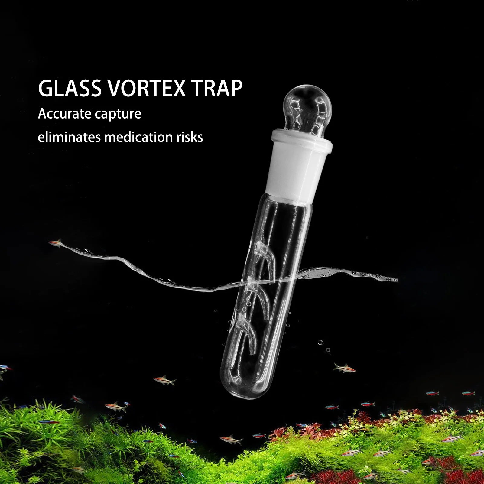 3 Holes Glass Planarian Trap Aquarium Bristle Worm Catcher Snail Trap Reduce Planaria Population In Fish Tank Peaceful Pleasures Health and Wellness