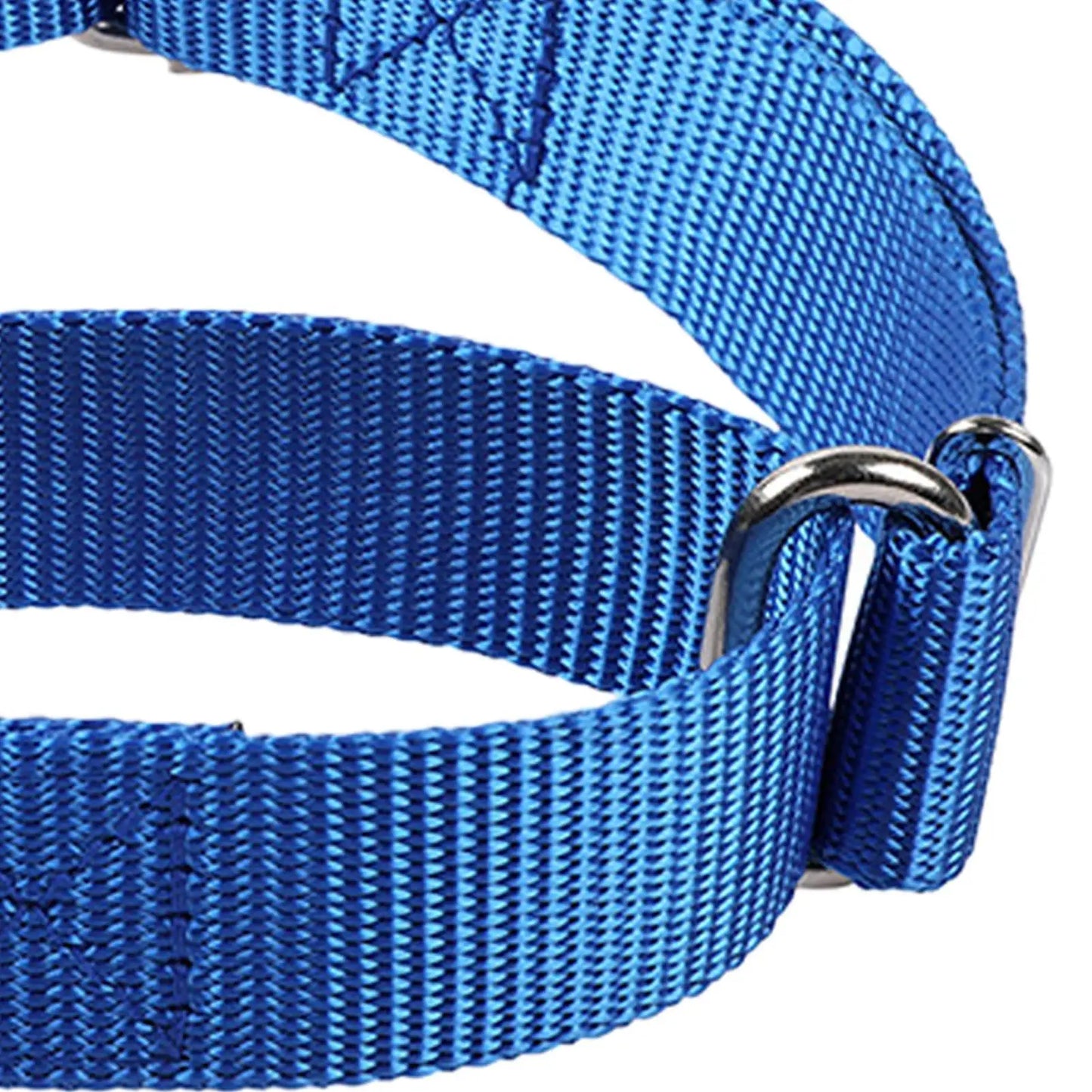 Cat Collar Anti-Punch Pet Supplies Adjustable Kitten Collar for Pet Parents Animal Lovers Trainers Caregivers Breeders Daily Peaceful Pleasures Health and Wellness