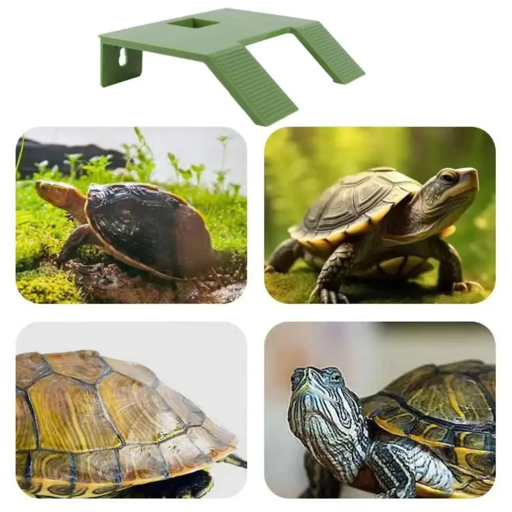Floating Turtle Basking Platform | Aquatic Turtle Climbing Terrace