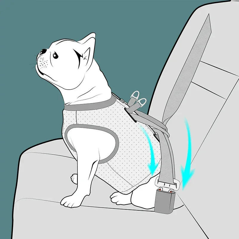 Truelove Pet Vehicle Safety Vest Harness Dog Car Harness Adjustable Harnesses Warm Cool Clothes Breathable Mesh Fabric TLH2512 Peaceful Pleasures Health and Wellness