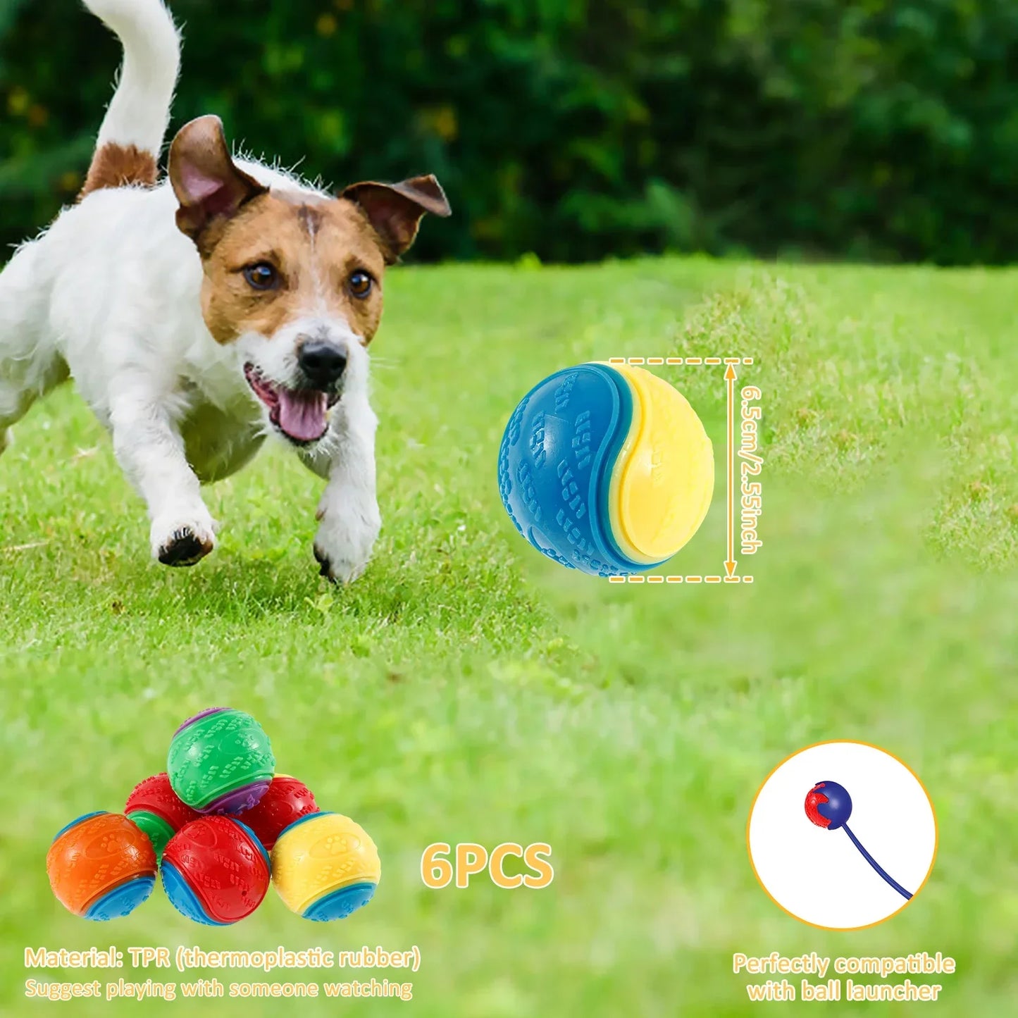 Squeaky Dog Ball Toy – Durable TPR Chew & Fetch Ball