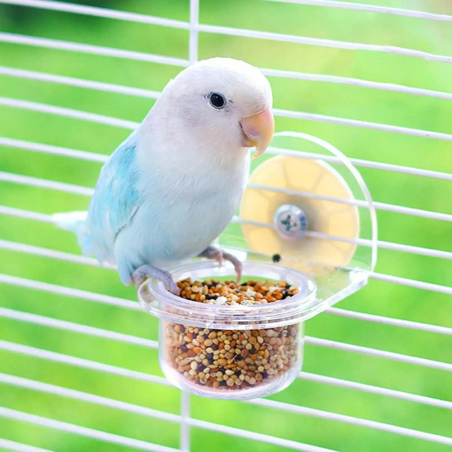 Bird Dishes for Cage Detachable Bird Cups for Cages Container Feeder Dispenser Transparent for Pet Supplies Water Squirrel Peaceful Pleasures Health and Wellness China Mainland