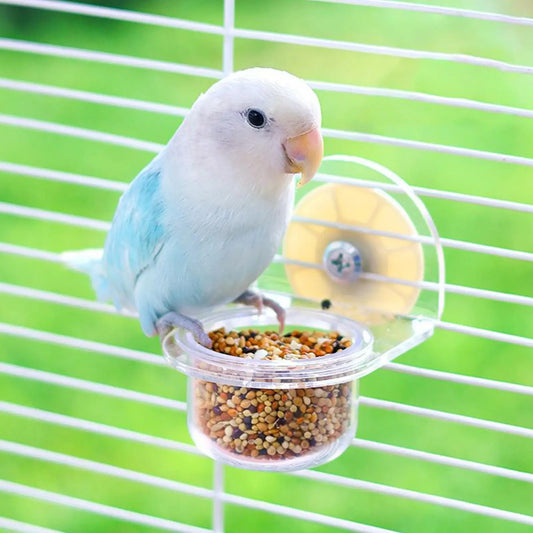 Bird Dishes for Cage Detachable Bird Cups for Cages Container Feeder Dispenser Transparent for Pet Supplies Water Squirrel Peaceful Pleasures Health and Wellness China Mainland