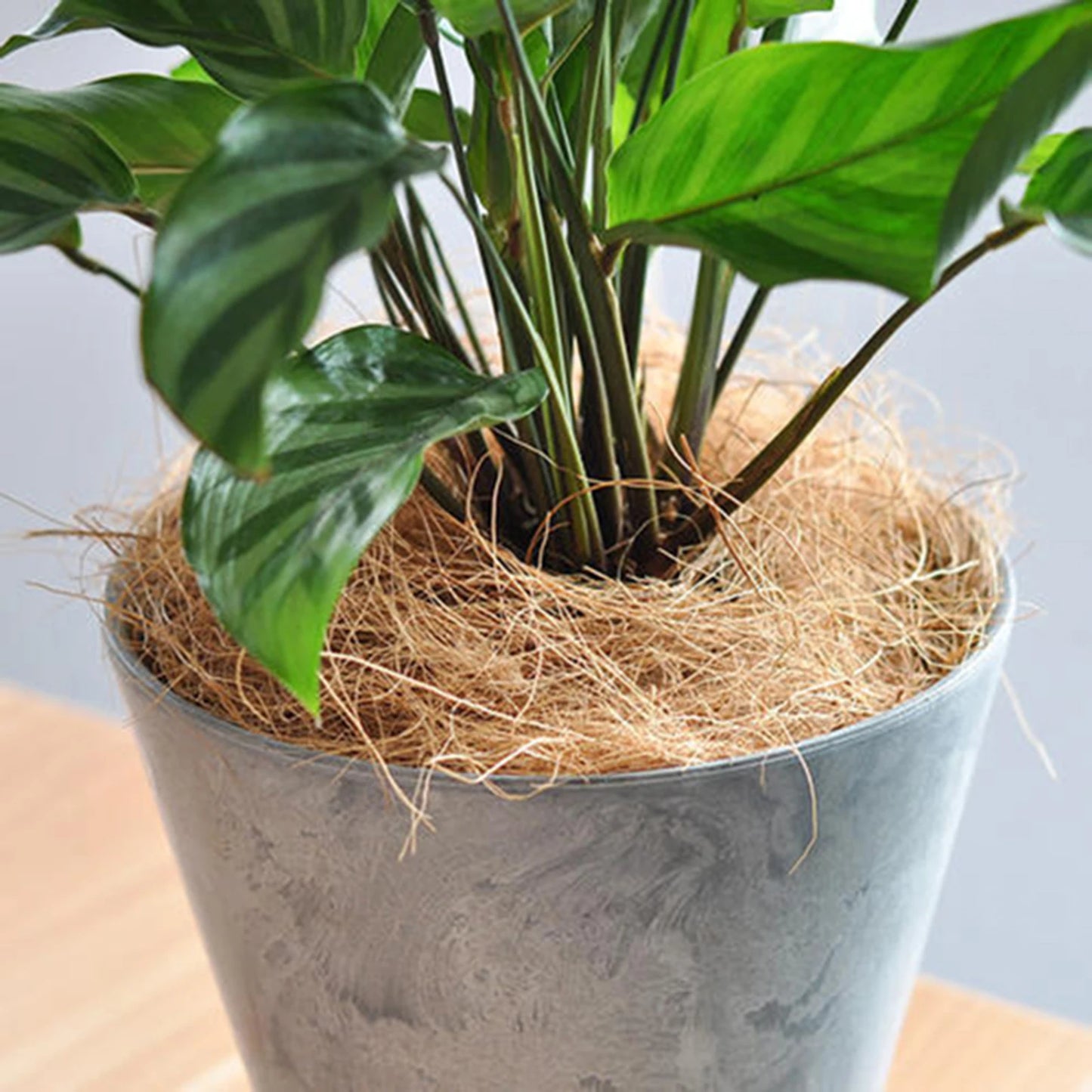 Dust-Free Planter Coconut Fiber Insect-proof Plants Fiber for Garden Enthusiasts Lovers Peaceful Pleasures Health and Wellness