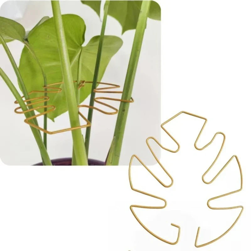 No-Nail Plant Stem Support Clips – Vine & Monstera Stabilizer
