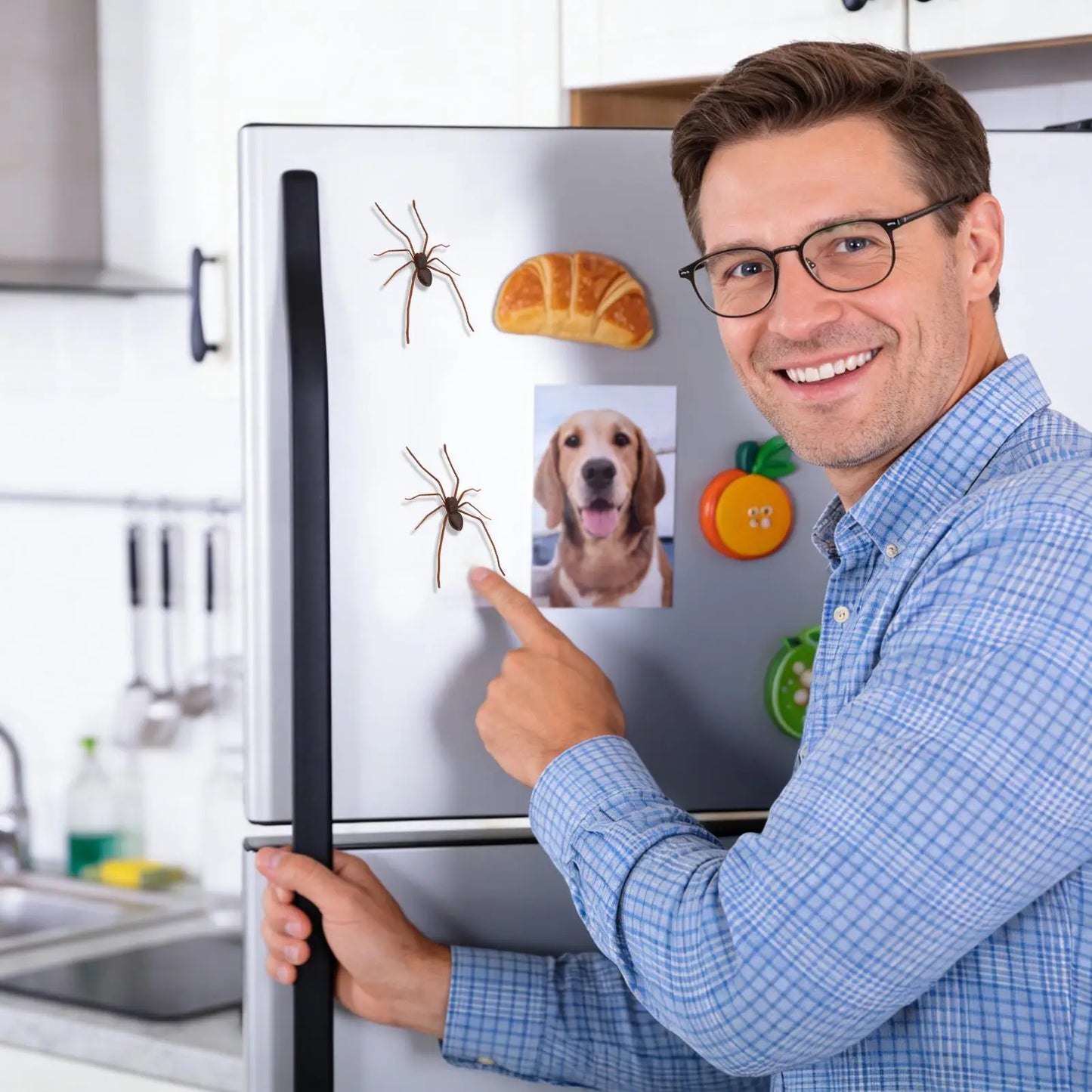 Realistic Spider Fridge Magnet | Funny Halloween Prank Decor