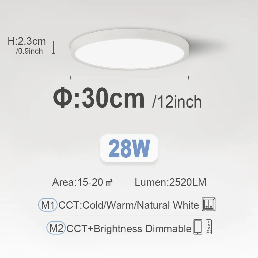 RUNTOIN Dimmable LED Flush Mount Ceiling Light | Ultrathin