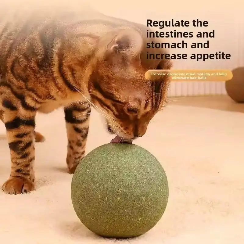 Natural Catnip Ball Toy – Teeth Grinding & Cat Enrichment