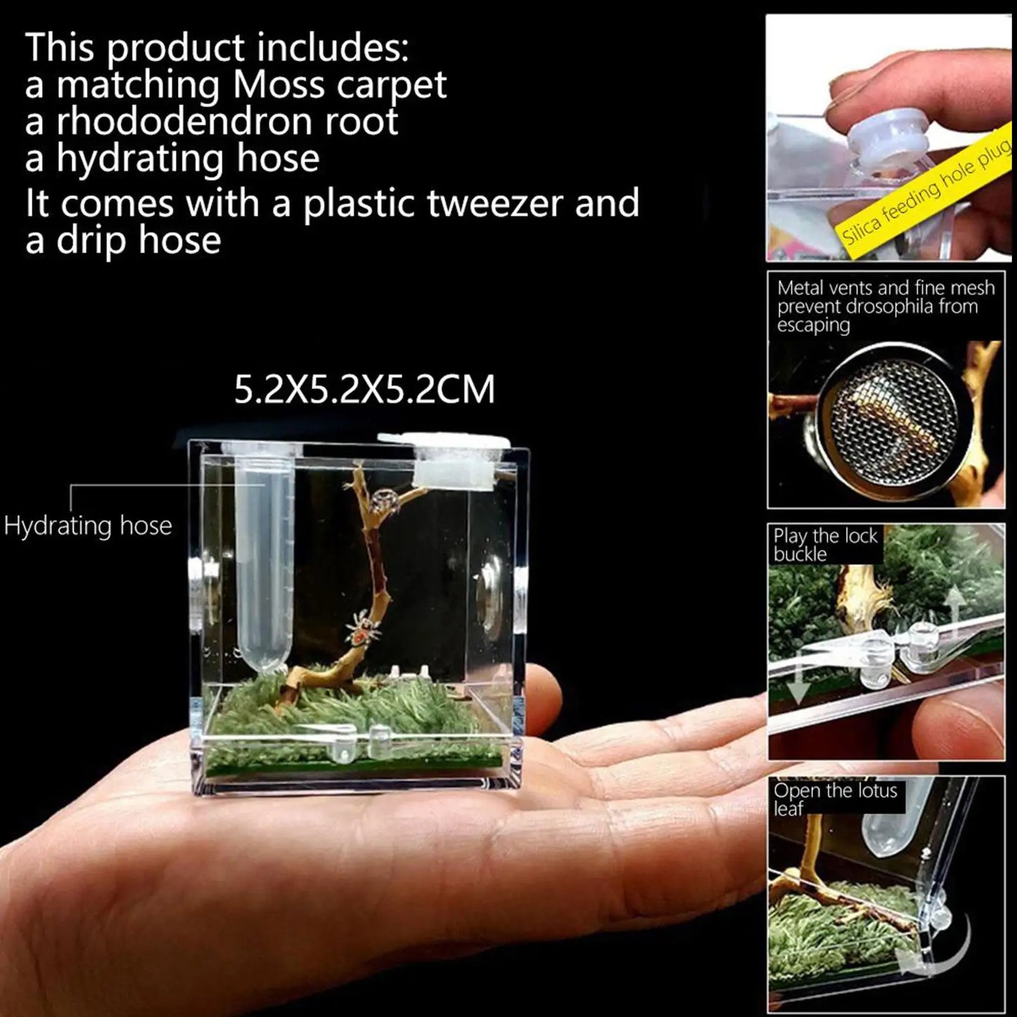Transparent Spider & Insect Breeding Box | Reptile Habitat