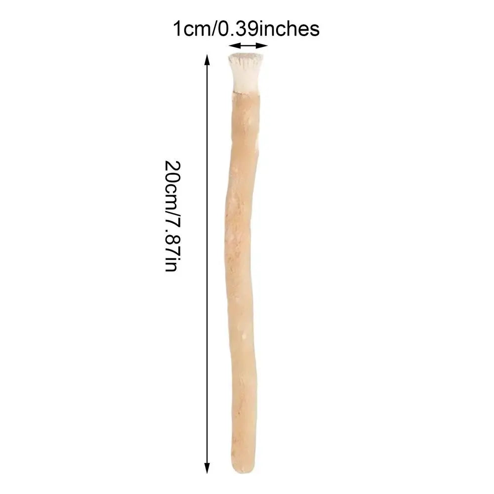 Sewak Sticks Natural Teeth Cleaning Stick | Travel Toothbrush
