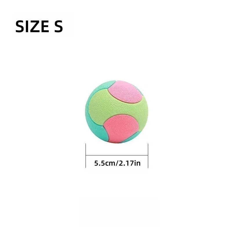 Bite-Resistant Rubber Bouncy Ball Dog Chew & Dental Toy