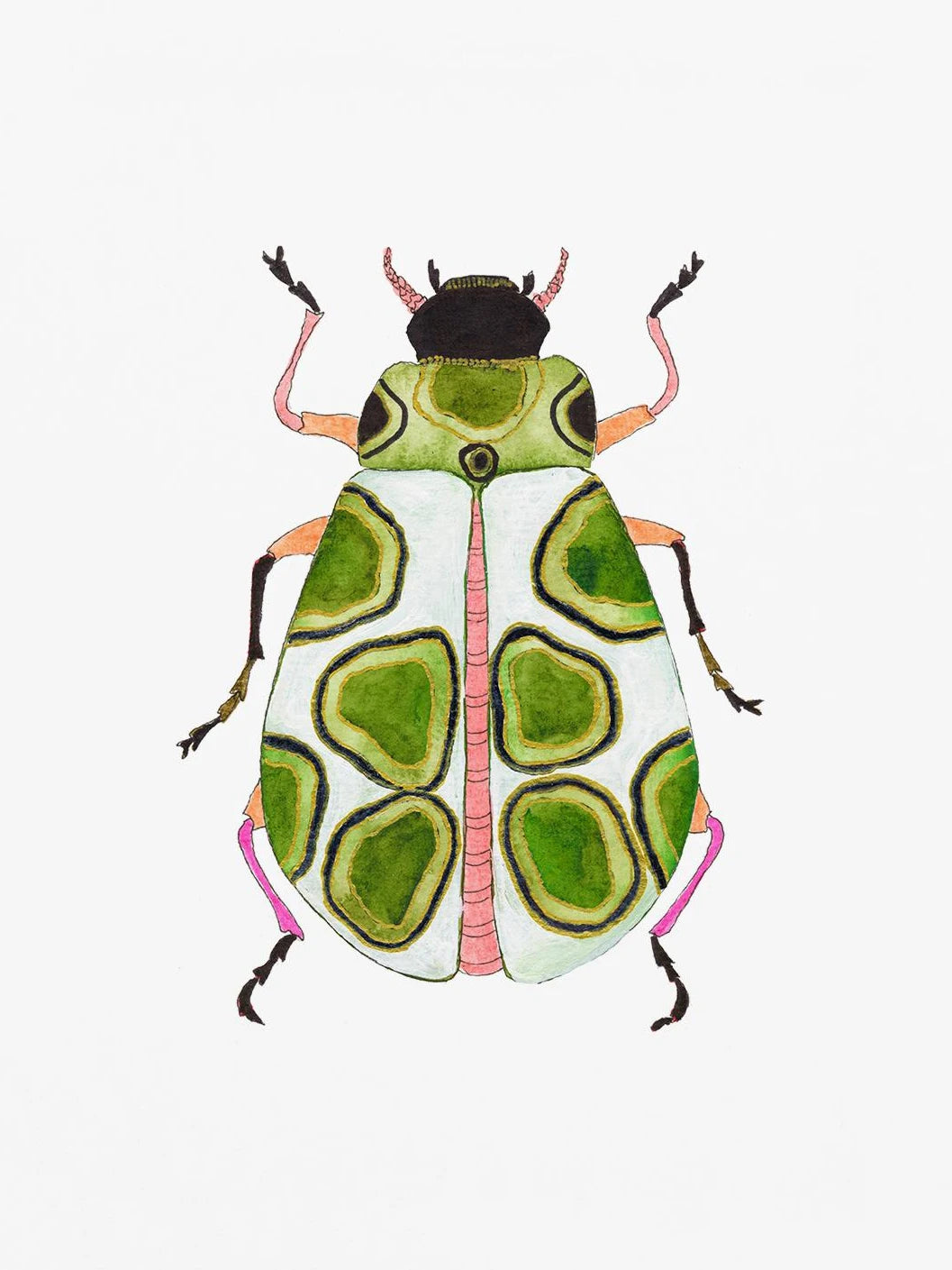 Watercolor Insect Canvas Print | Nursery & Kids Room Wall Art
