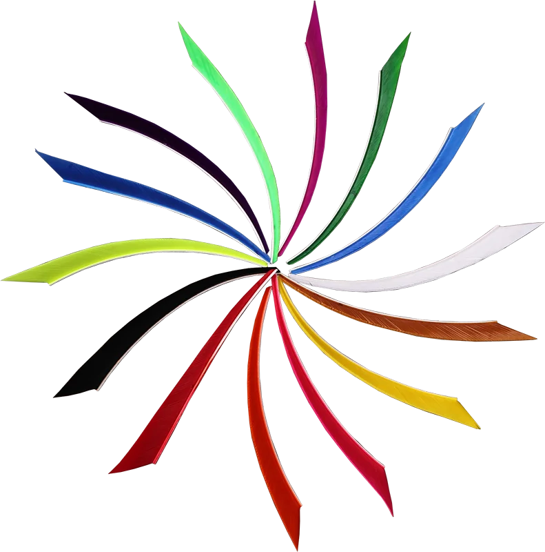 30 50 Sharp Shape Turkey Feather Nature Real True Left Wings Archery