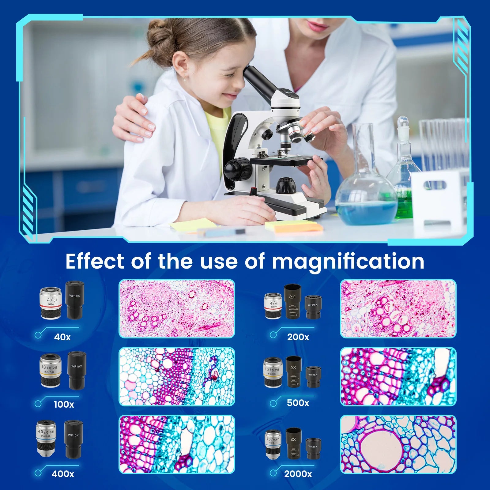 Biological Microscope for Convenient Movement of Specimens 40-640X Optical Microscope Peaceful Pleasures Health and Wellness
