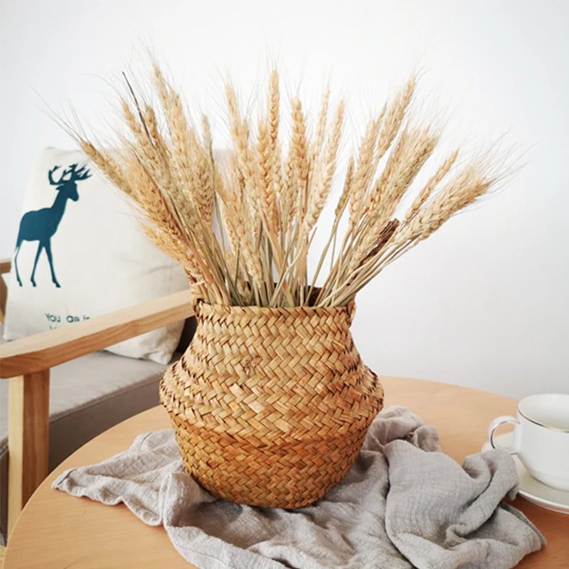 100pcs Dried Wheat Ears Bouquet – Wedding & Home Decor