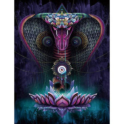 Psychedelic Mushroom Skeleton Canvas Wall Art | Modern Print