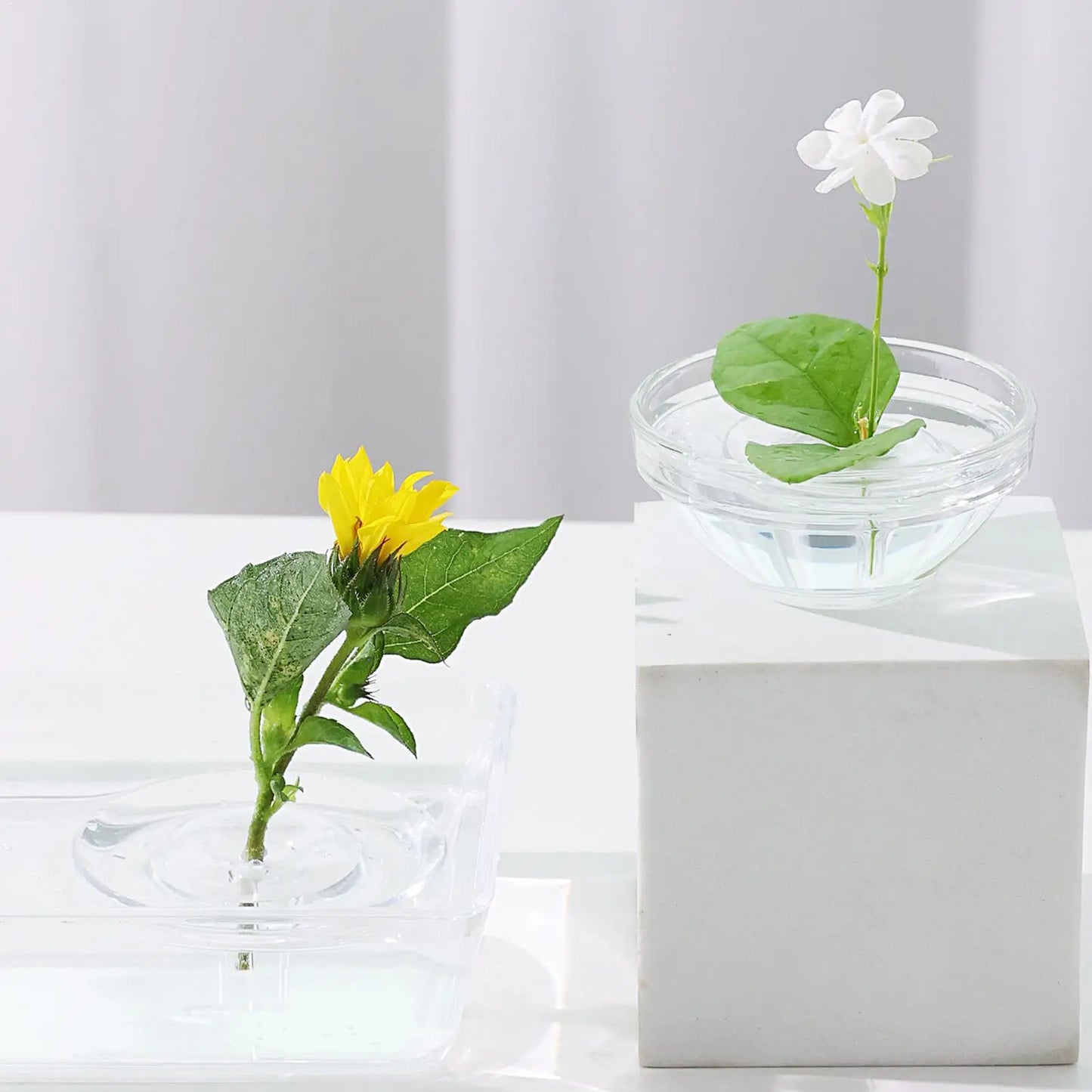 10pcs Transparent Stem Holder, Floating Floral Display Stand for Hydroponic Bowls Vases Fish Tanks, Home Decor Organizer Peaceful Pleasures Health and Wellness