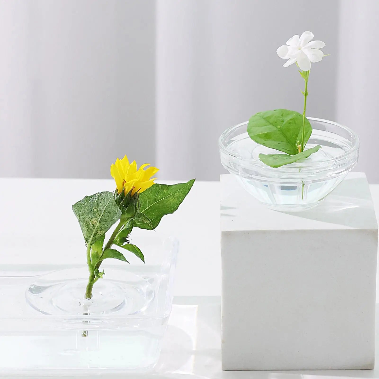 10pcs Transparent Stem Holder, Floating Floral Display Stand for Hydroponic Bowls Vases Fish Tanks, Home Decor Organizer Peaceful Pleasures Health and Wellness