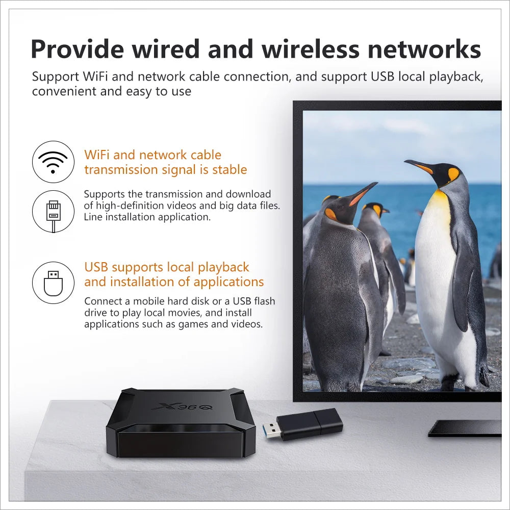 Smart Set Top Box X96Q TV Box Allwinner H313 Quad Core 2.4G Wifi Android 10.0 4K Google Player Youtube Media Player X96Q 2GB 16G Peaceful Pleasures Health and Wellness