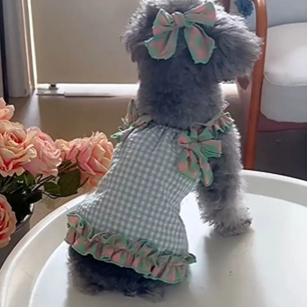 Plaid Lace Pet Dress – Soft Summer Skirt for Cats & Puppies