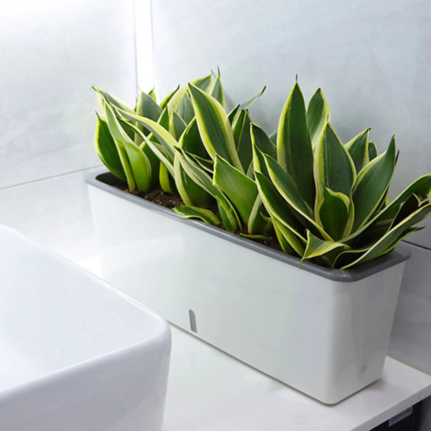 Lazy Twin-Layer Planter Pots Long Strip Double Layer Flower Pot for Indoor Home Garden Accessories Peaceful Pleasures Health and Wellness