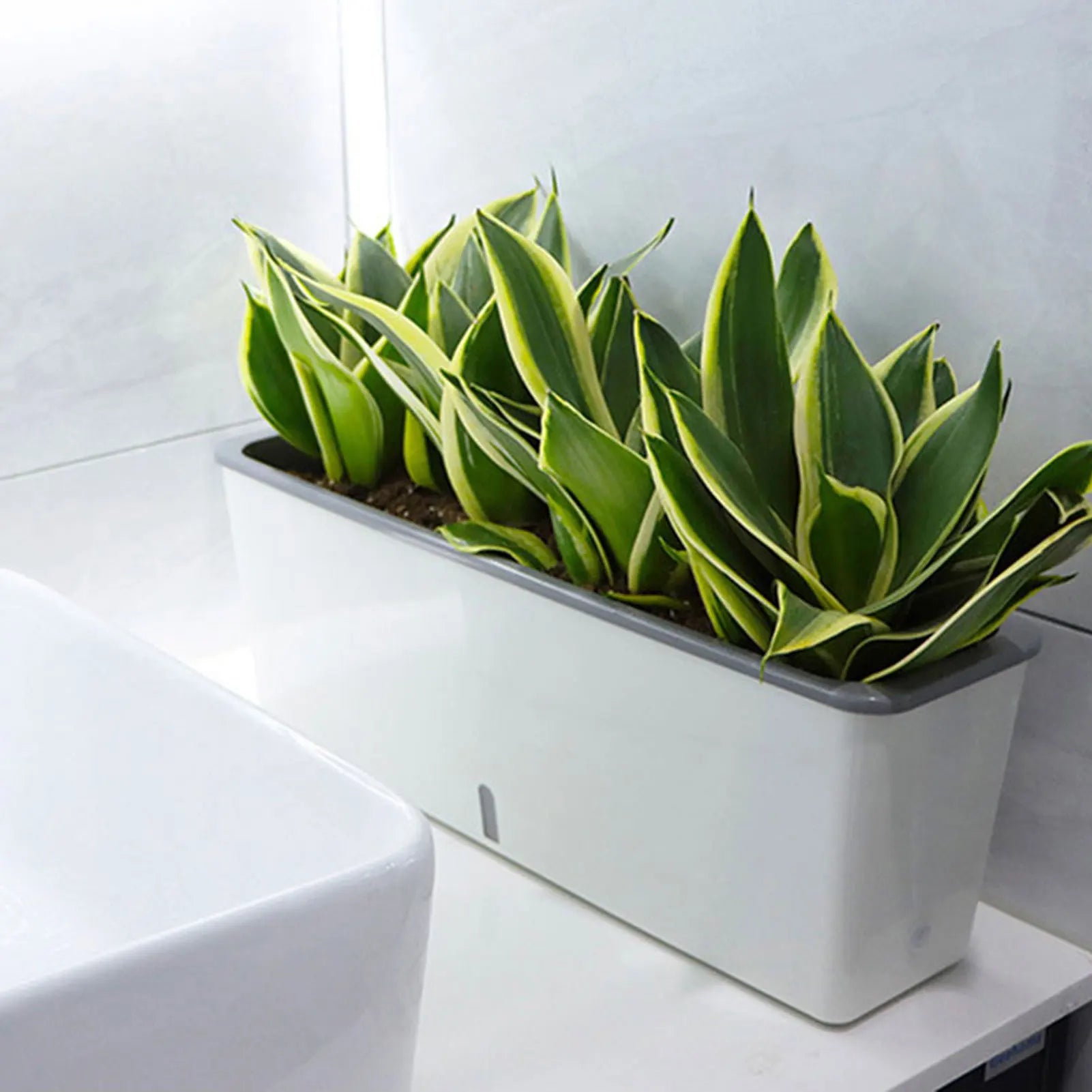 Lazy Twin-Layer Planter Pots Long Strip Double Layer Flower Pot for Indoor Home Garden Accessories Peaceful Pleasures Health and Wellness
