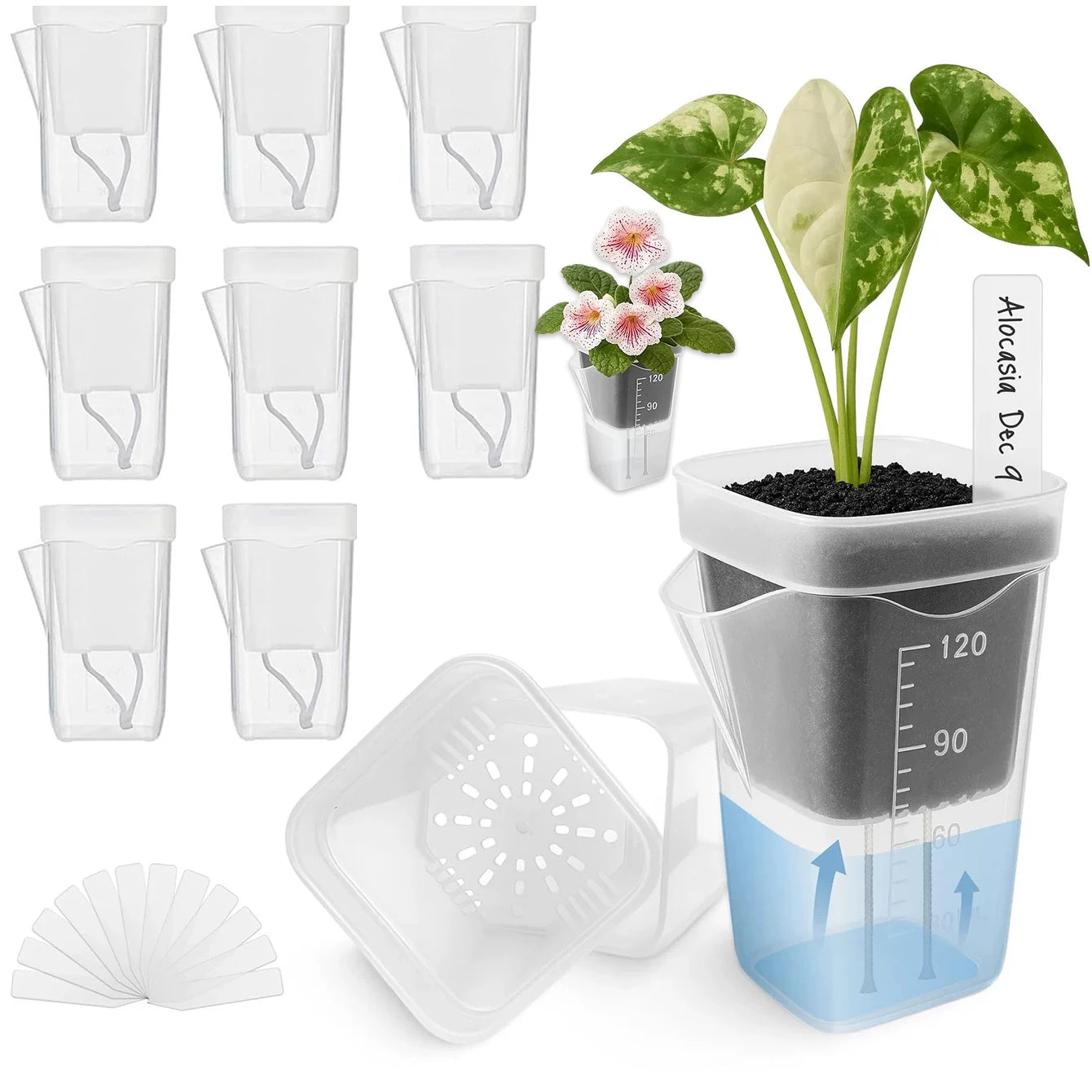Self Watering Pots for Indoor Plants – Clear Plastic Planters