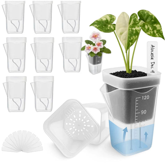 Self Watering Pots for Indoor Plants – Clear Plastic Planters
