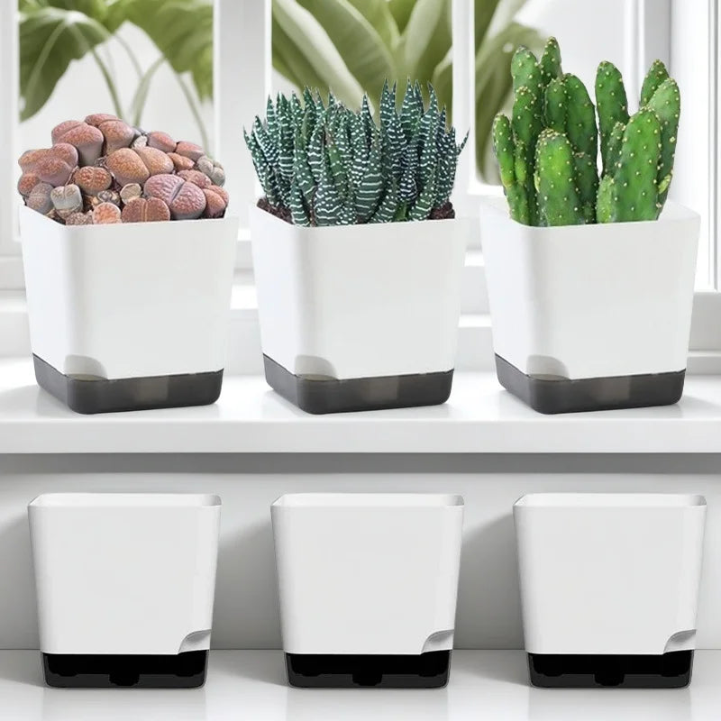 5-Pack Self Watering Planters | Drainage & Clear Reservoir