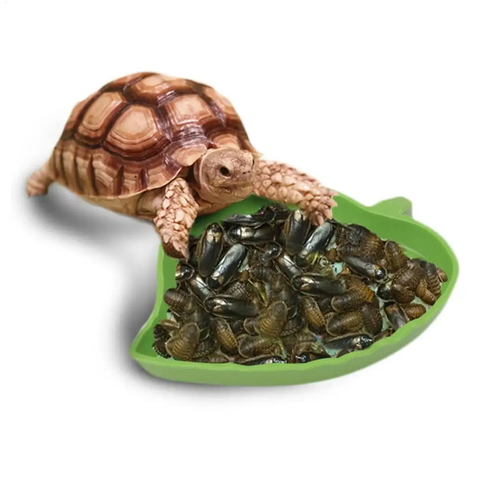 Reptile Leaf Feeding Bowl | Tortoise, Turtle & Lizard Dish