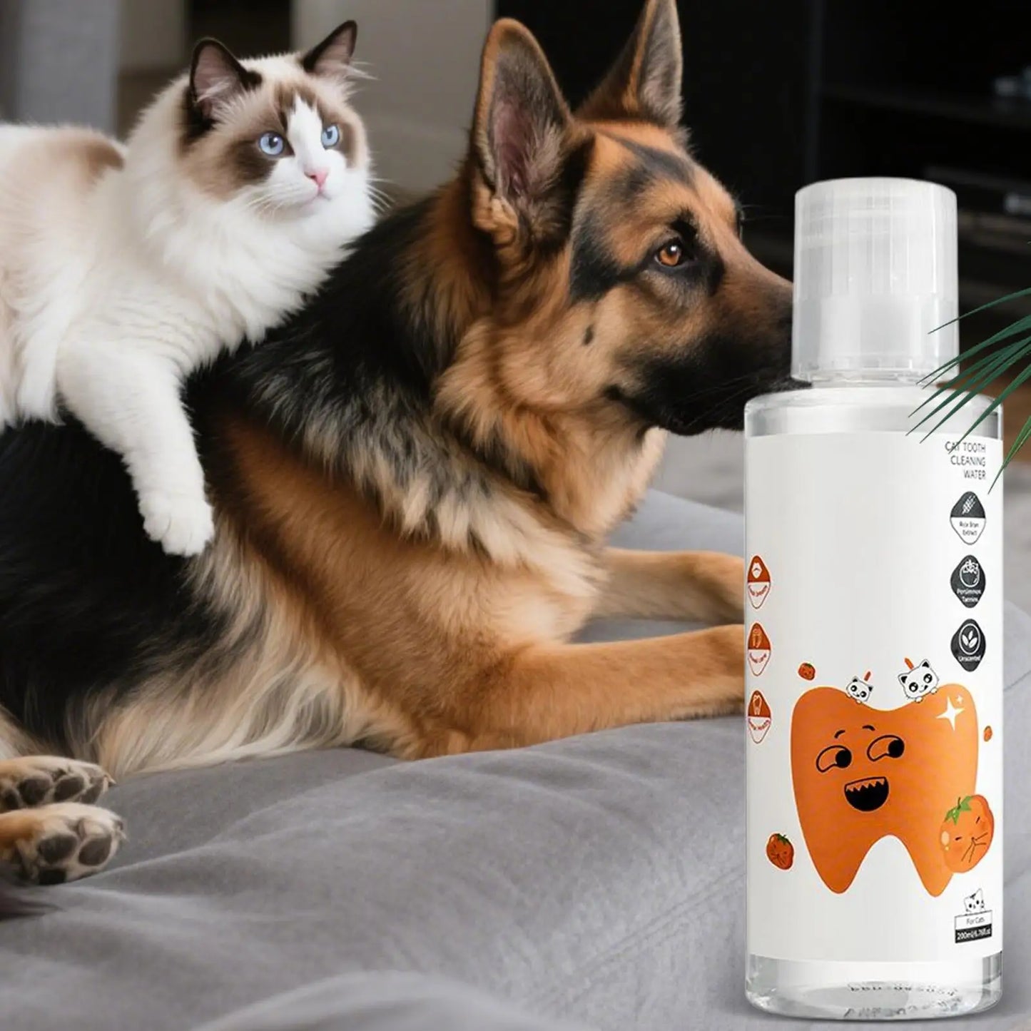 Dog & Cat Dental Water Additive 200ml – Fresh Breath & Plaque Care