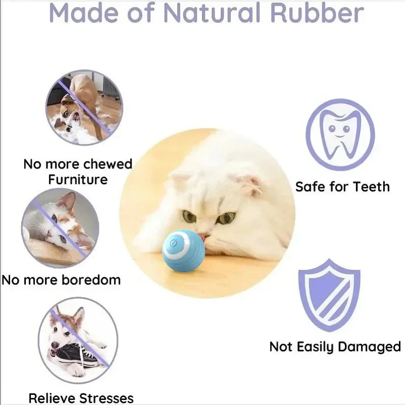 Electric Auto-Rolling Cat Ball Toy | USB Rechargeable Interactive