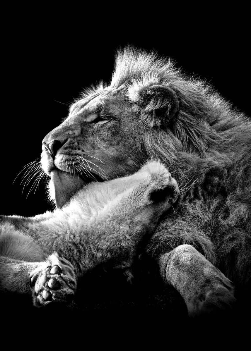 Black and White Animals Lions Family Elephant Giraffe Zebra Wall Poster Prints Canvas Painting Pictures for Kids Room Decor Peaceful Pleasures Health and Wellness 2 40x50cm Unframed