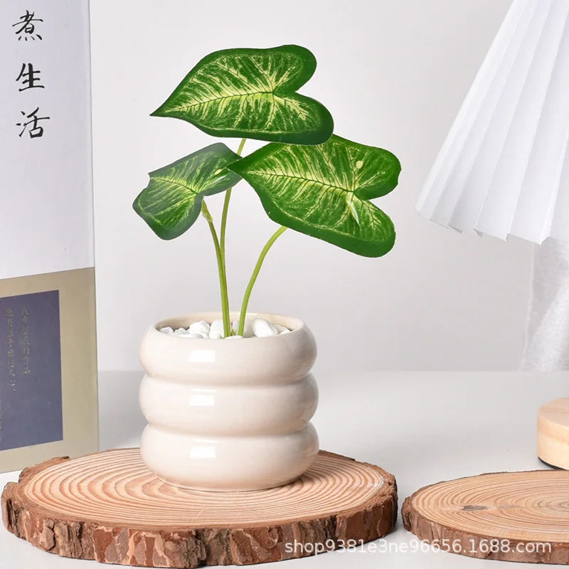 Ceramic Self-Watering Succulent Planter | White Minimalist Pot