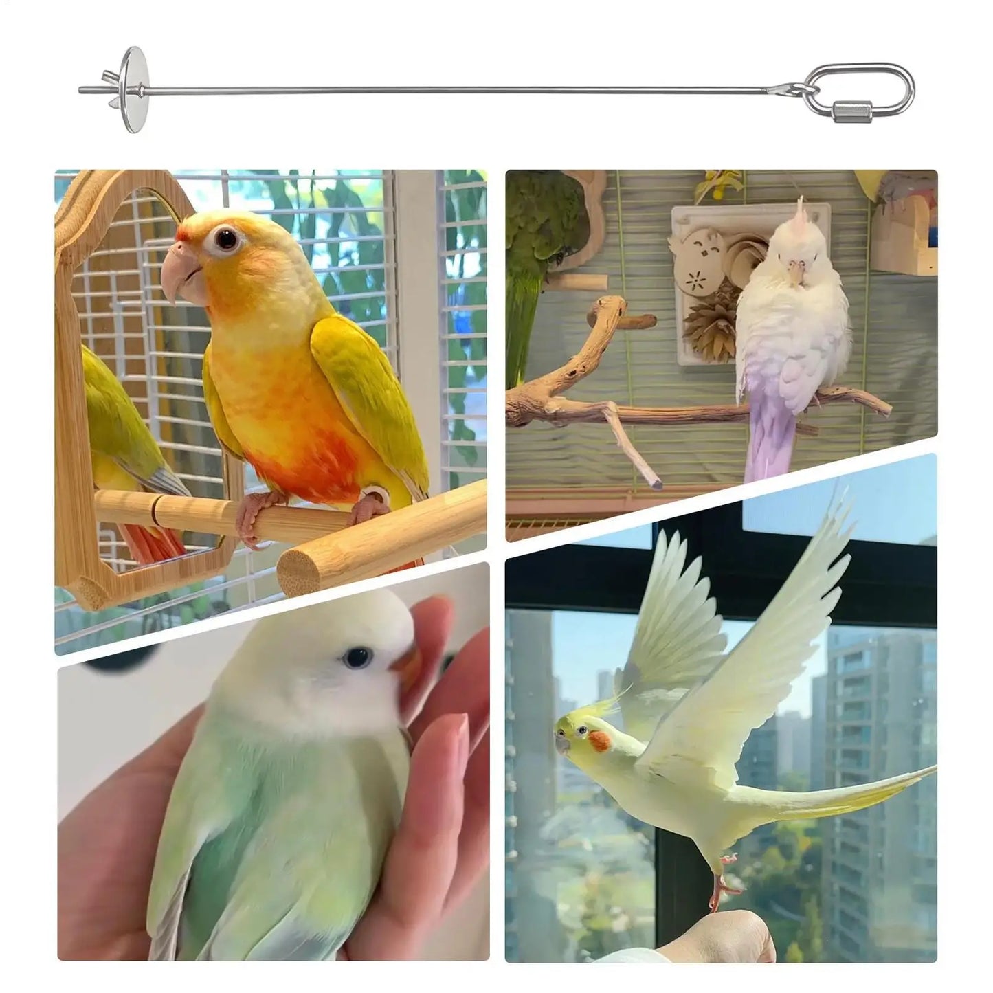 Stainless Steel Bird Fruit Skewer | Parrot Cage Feeder Toy