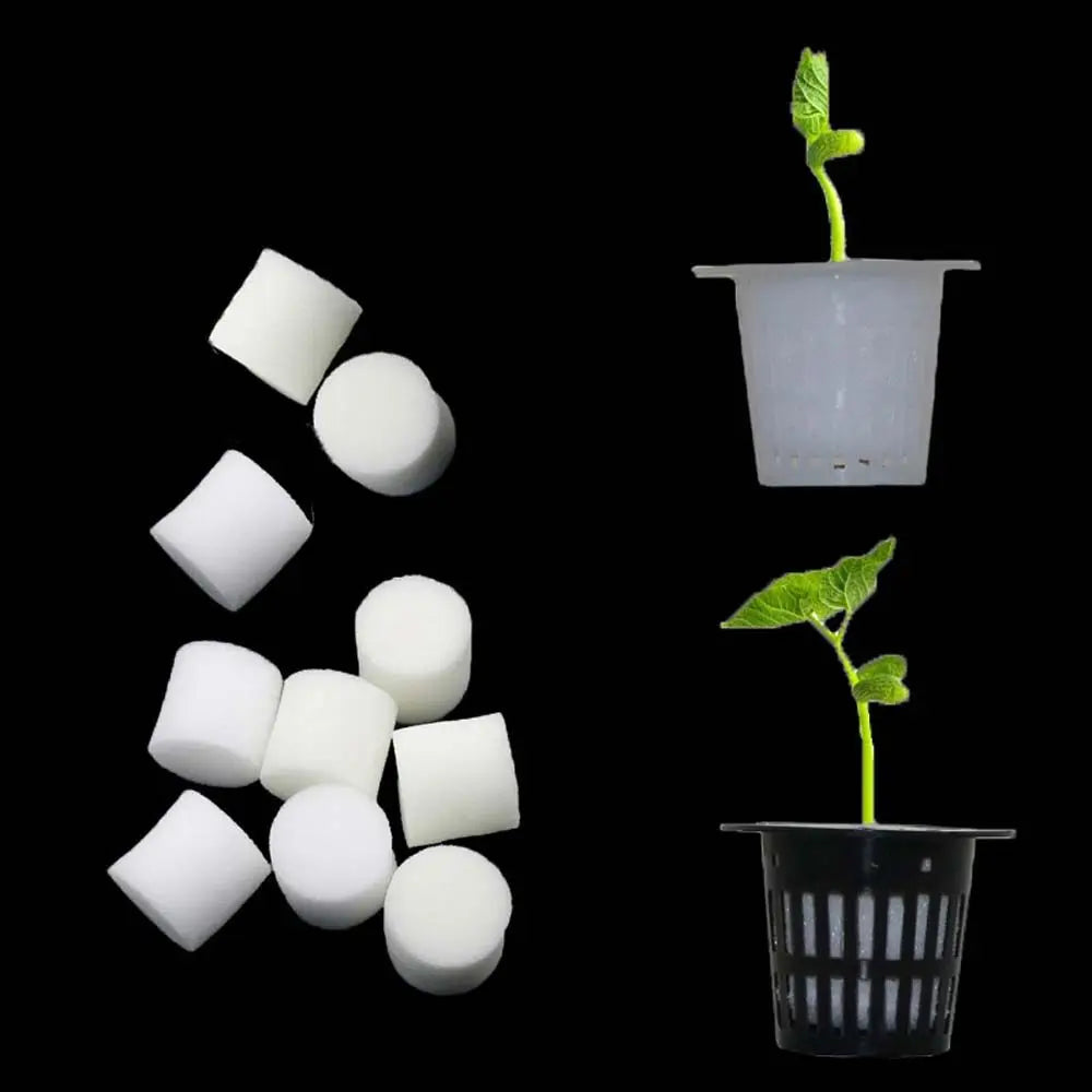 50 Pcs Hydroponic Nursery Sponge Plugs – Soilless Growing Medium