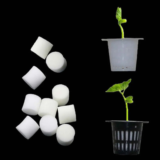 50 Pcs Hydroponic Nursery Sponge Plugs – Soilless Growing Medium Hydroponic Grow Media Oasis Select