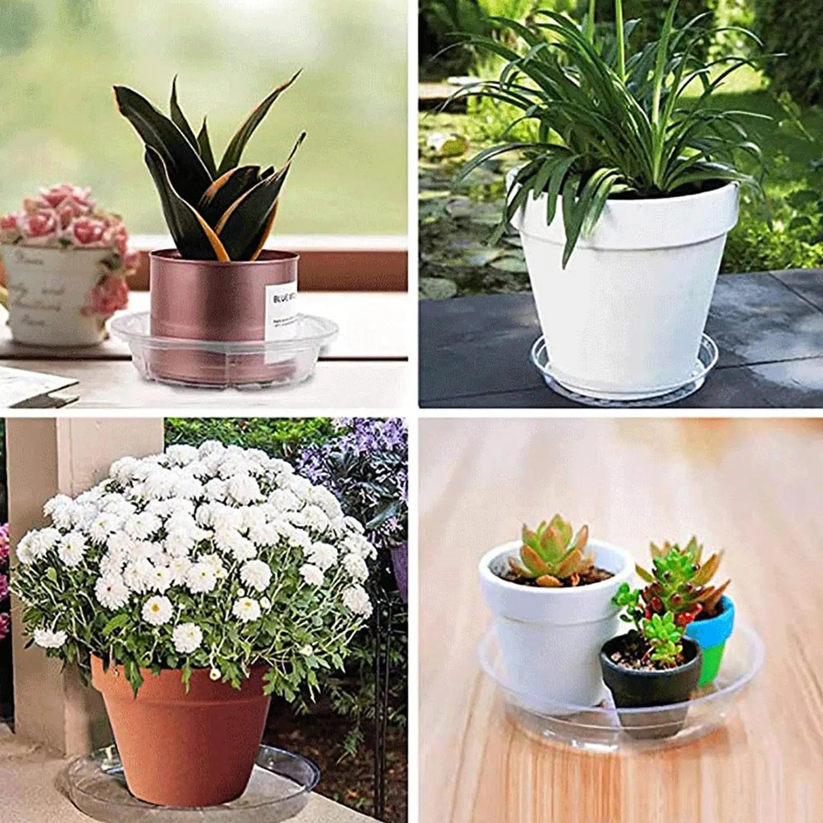 Plant Drainage Saucer Small Clear Planter Dish 5X Indoor and Outdoor Plant Saucer Pot Trays Plants Flower Pot Plates for Peaceful Pleasures Health and Wellness
