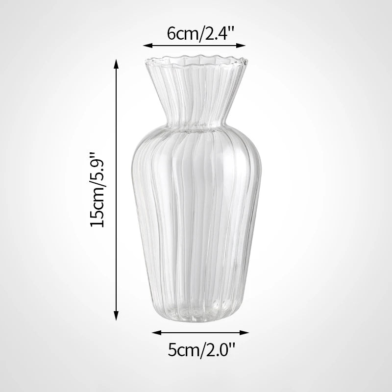 Vintage Transparent Glass Vase | Flower Bottle & Plant Pot