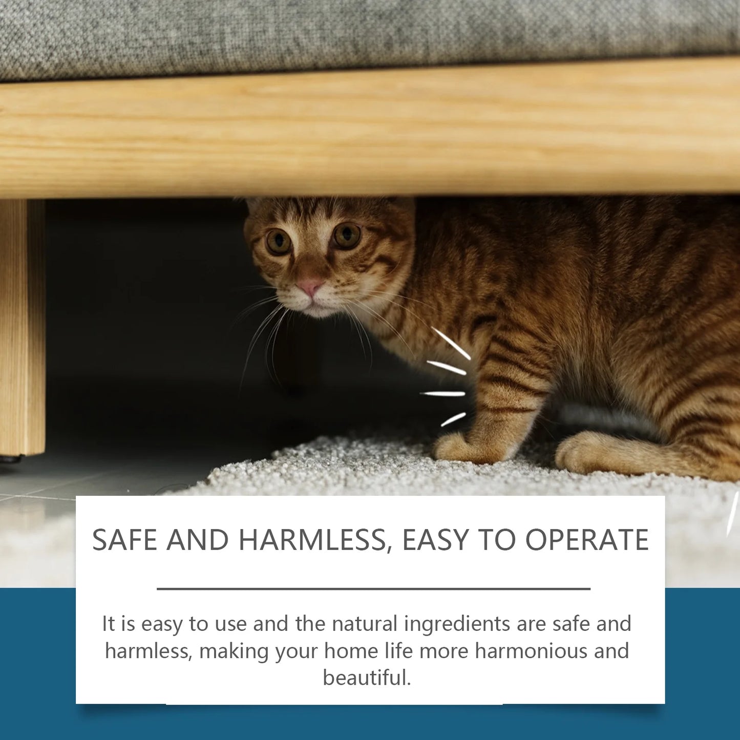 Cat Deterrent Spray – Anti-Scratch Furniture Protector 100ml
