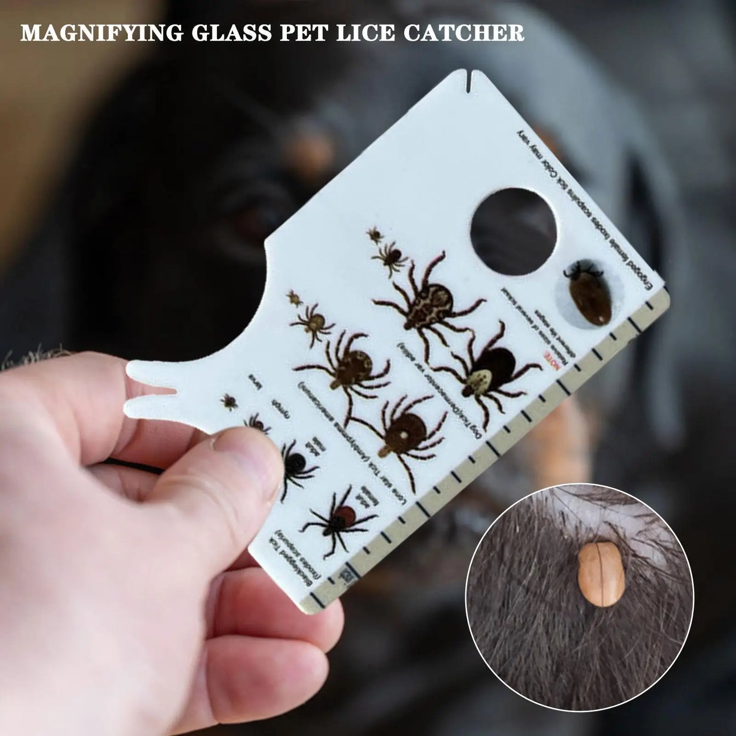 Tick Card For Children Allows Low Risk Removal Of Ticks Portable Tick Card With Magnifier For Gently Remove Ticks From People Peaceful Pleasures Health and Wellness