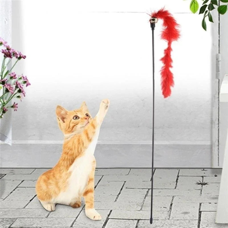 Kitten Pet Cat Teaser Turkey Feather Interactive Fun Toy Wire Chaser