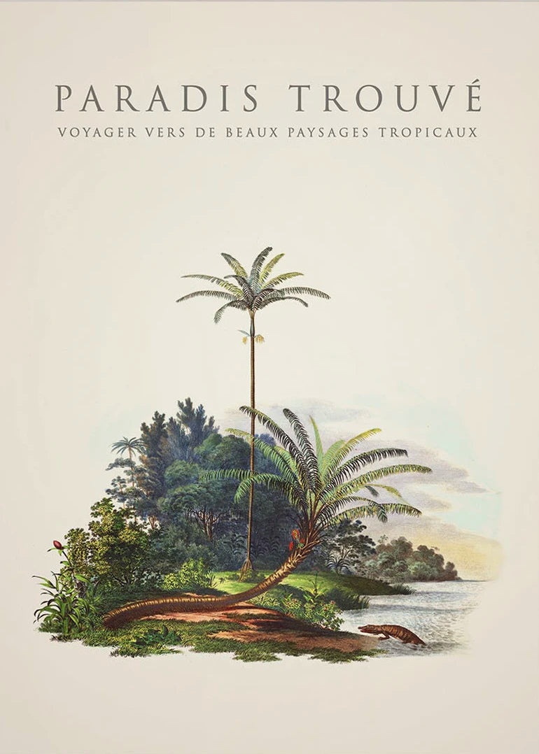 Tropical Palm & Banana Tree Vintage Botanical Canvas Wall Art Botanical Canvas Print Peaceful Pleasures Health and Wellness